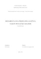 prikaz prve stranice dokumenta Rehabilitacija prijeloma gležnja nakon penjačke ozljede